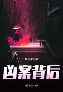 孤独的小说家