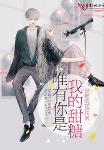 逐暗之石