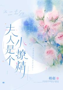 鬼医毒妃冷如冰