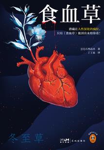 伊智战队