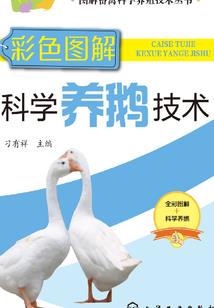 凝炼神通