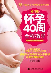 方舟起航
