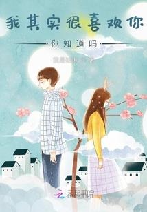 魅影迷踪之精灵之国