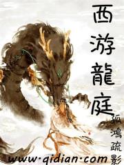 无赖高手俏佳人