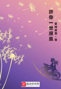 银狐小组