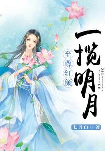 防御之王被迫点满敏捷之后