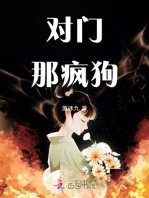 就这样吧，拳力以赴