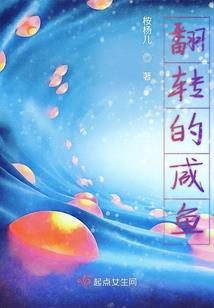 龙磐纪