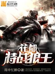 龙珠之永不止步