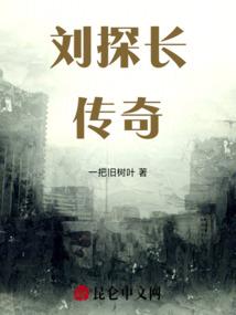 火影之天洋