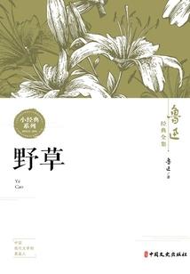 火影之卡卡西传