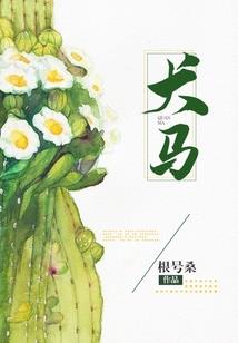 绝对领域之风起云涌