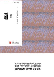 单翼天使的叹息