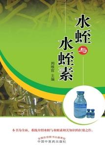 负了流年，和你却没有后来