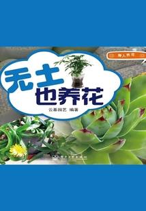 最后也不曾回眸