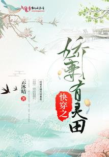 风的天下