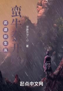 汉末泰山贼