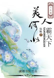 总裁别玩了