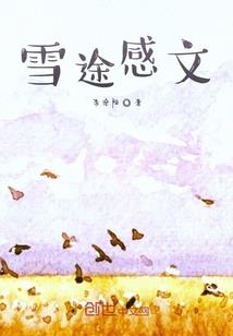 钟楼的夏天