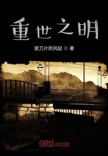 我在作家模拟器上写小说