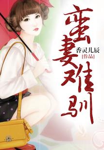驸马接驾