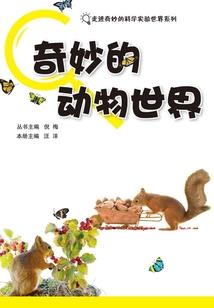 如梦星河