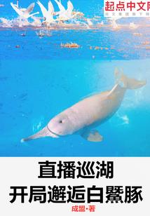衿浅墨华一生挚爱