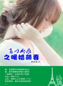 穿越之嫡鳕妖妃