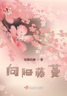 迷仙之路太长
