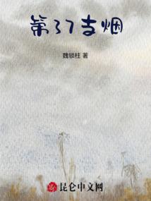 传奇猫咪