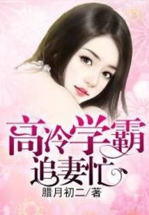 赛维大陆