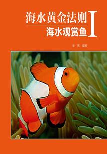 西游姬