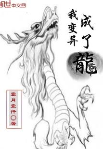 神奇宝贝之天羽传奇
