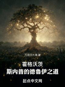 宠物小精灵之二世代