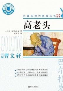 在下可能穿了个假越