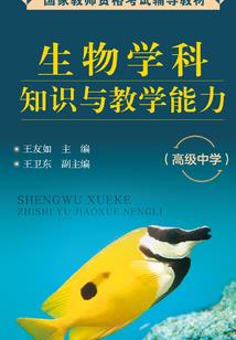 属性系游戏