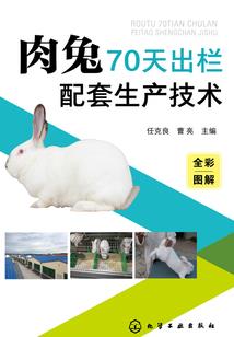 异世存活指南