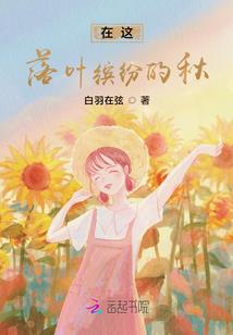 轮回战绝