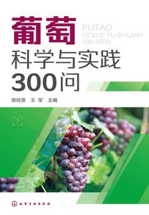 贱出窍