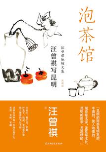 飞起来天鹅王子