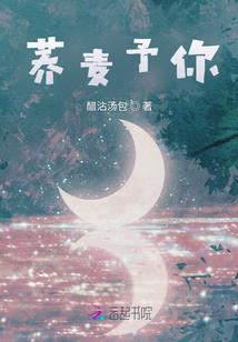 天地英雄炉