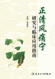 大明共和