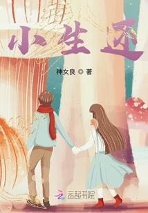 风吹过的夏季