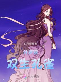 艾尔传