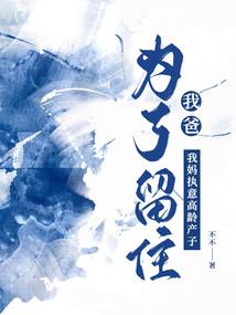 文妃心计
