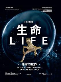 修真者，我当定了