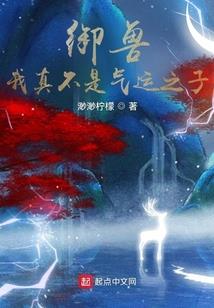 星之领域