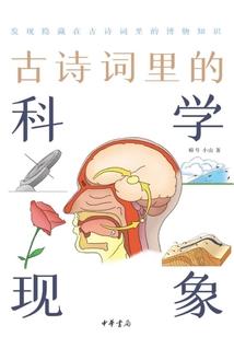 玄幻之封印大陆