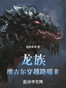 徒穷匕见