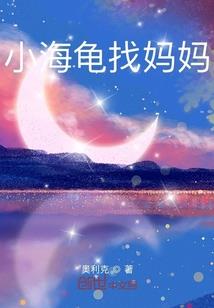 这本书没名字额